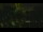 Webcam in Callisburg, Texas, 82.5 mi away