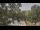 Webcam in Callisburg, Texas, 200.2 mi away