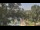 Webcam in Callisburg, Texas, 35.7 mi away