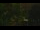 Webcam in Callisburg, Texas, 77.2 km entfernt