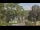 Webcam in Callisburg, Texas, 97.9 km