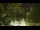 Webcam in Callisburg, Texas, 30.1 mi away