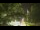 Webcam in Callisburg, Texas, 210.3 km