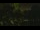 Webcam in Callisburg, Texas, 37.8 mi away