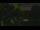 Webcam in Callisburg, Texas, 210.3 km entfernt