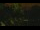 Webcam in Callisburg, Texas, 33.1 mi away