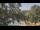 Webcam in Callisburg, Texas, 73.8 mi away