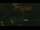 Webcam in Callisburg, Texas, 23.1 mi away