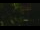 Webcam in Callisburg, Texas, 210.3 km