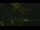 Webcam in Callisburg, Texas, 59.7 km