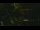 Webcam in Callisburg, Texas, 210.3 km