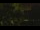 Webcam in Callisburg, Texas, 81.2 mi away