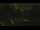 Webcam in Callisburg, Texas, 31.8 mi away