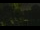 Webcam in Callisburg, Texas, 37.8 mi away
