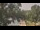 Webcam in Callisburg, Texas, 73.1 km