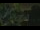 Webcam in Callisburg, Texas, 54.6 mi away