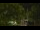 Webcam in Callisburg, Texas, 273.5 km