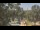 Webcam in Callisburg, Texas, 29.8 mi away