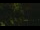 Webcam in Callisburg, Texas, 216.5 km