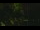 Webcam in Callisburg, Texas, 448.2 km