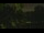 Webcam in Callisburg, Texas, 38.4 km entfernt