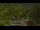 Webcam in Callisburg, Texas, 213.7 km
