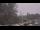 Webcam in Wishkah, Washington, 40.9 mi away