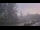 Webcam in Wishkah, Washington, 109.3 km entfernt