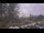 Webcam in Wishkah, Washington, 35.6 km entfernt