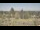 Webcam in Seattle, Washington, 50.3 mi away