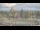 Webcam in Seattle, Washington, 47.8 mi away