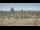 Webcam in Seattle, Washington, 13.8 km