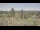Webcam in Seattle, Washington, 21.4 km