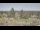 Webcam in Seattle, Washington, 26.2 km