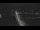Webcam in Interlaken, 0.1 mi away