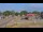 Webcam in Danville, Arkansas, 34.1 km