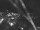 Webcam in Geneva, 9.6 mi away