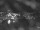 Webcam in Ginerva, 0.8 km