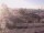Webcam in Portland, Oregon, 98.1 km