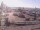 Webcam in Portland, Washington, 39.6 km