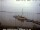 Webcam in Heiligenhafen, 0.2 mi away