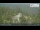 Webcam in Ochsenkopf, 30.7 km