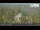 Webcam in Ochsenkopf, 29.1 km entfernt
