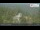 Webcam in Ochsenkopf, 2.2 mi away