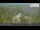 Webcam in Ochsenkopf, 11.9 mi away
