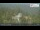 Webcam in Ochsenkopf, 20.6 km