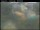 Webcam in Haapsalu, 113.9 mi away