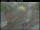 Webcam in Haapsalu, 313.1 km