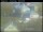 Webcam in Haapsalu, 45.9 km