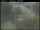 Webcam in Haapsalu, 318.1 km
